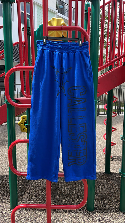 BLUE Sweatpants